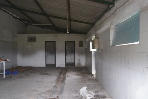 Farm i Alcains, Castelo Branco, Alcains - € 190.000 | Ref: HAU235 - foto 9