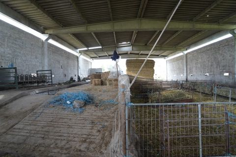 Farm i Alcains, Castelo Branco, Alcains - € 190.000 | Ref: HAU235 - foto 10