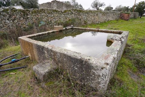 Farm i Alcains, Castelo Branco, Alcains - € 190.000 | Ref: HAU235 - foto 12
