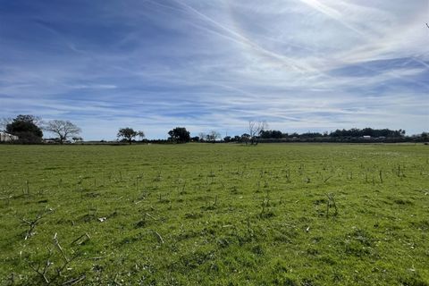 Farm i Alcains, Castelo Branco, Alcains - € 190.000 | Ref: HAU235 - foto 16