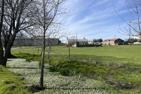 Farm i Alcains, Castelo Branco, Alcains - € 190.000 | Ref: HAU235 - foto 17