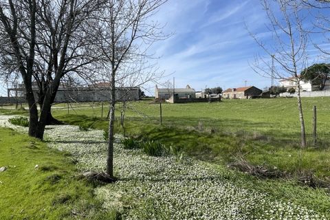 Farm i Alcains, Castelo Branco, Alcains - € 190.000 | Ref: HAU235 - foto 18