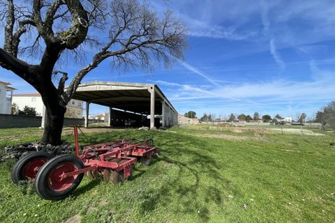 Farm i Alcains, Castelo Branco, Alcains - € 190.000 | Ref: HAU235 - foto 19