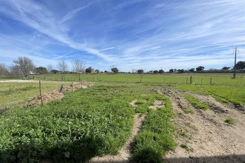 Farm i Alcains, Castelo Branco, Alcains - € 190.000 | Ref: HAU235 - foto 20