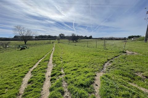 Farm i Alcains, Castelo Branco, Alcains - € 190.000 | Ref: HAU235 - foto 22