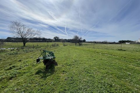 Farm i Alcains, Castelo Branco, Alcains - € 190.000 | Ref: HAU235 - foto 23
