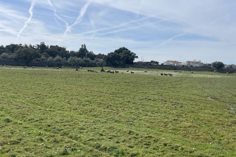 Farm i Alcains, Castelo Branco, Alcains - € 190.000 | Ref: HAU235 - foto 24