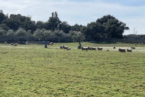 Farm i Alcains, Castelo Branco, Alcains - € 190.000 | Ref: HAU235 - foto 25