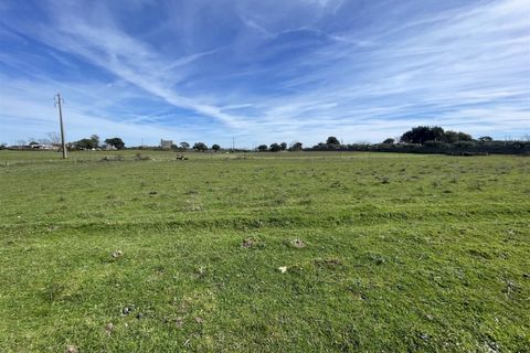 Farm i Alcains, Castelo Branco, Alcains - € 190.000 | Ref: HAU235 - foto 26