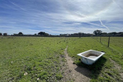 Farm i Alcains, Castelo Branco, Alcains - € 190.000 | Ref: HAU235 - foto 27