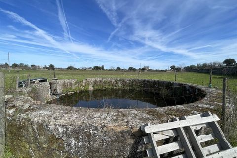 Farm i Alcains, Castelo Branco, Alcains - € 190.000 | Ref: HAU235 - foto 28