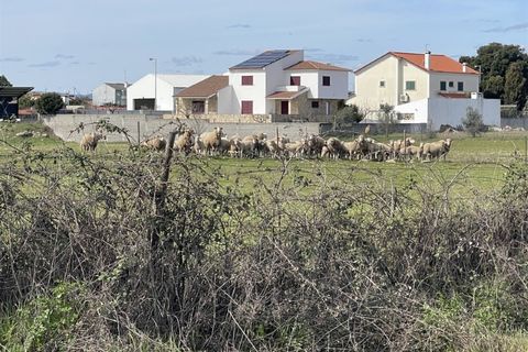 Farm i Alcains, Castelo Branco, Alcains - € 190.000 | Ref: HAU235 - foto 30
