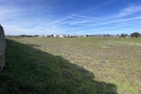 Farm i Alcains, Castelo Branco, Alcains - € 190.000 | Ref: HAU235 - foto 31