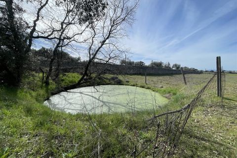 Farm i Alcains, Castelo Branco, Alcains - € 190.000 | Ref: HAU235 - foto 32