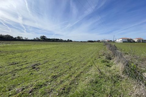 Farm i Alcains, Castelo Branco, Alcains - € 190.000 | Ref: HAU235 - foto 35