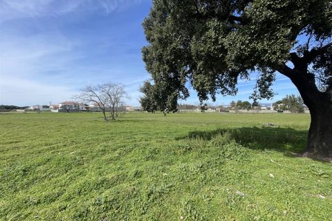 Farm i Alcains, Castelo Branco, Alcains - € 190.000 | Ref: HAU235 - foto 36