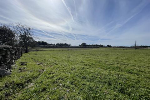 Farm i Alcains, Castelo Branco, Alcains - € 190.000 | Ref: HAU235 - foto 37