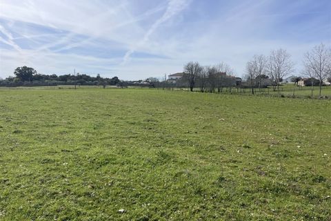 Farm i Alcains, Castelo Branco, Alcains - € 190.000 | Ref: HAU235 - foto 39