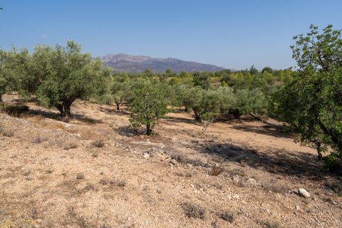 Finca a Aldover, Tarragona, Aldover - € 32.000 | Ref: 260 - foto 15