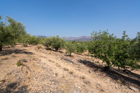Finca a Aldover, Tarragona, Aldover - € 32.000 | Ref: 260 - foto 14