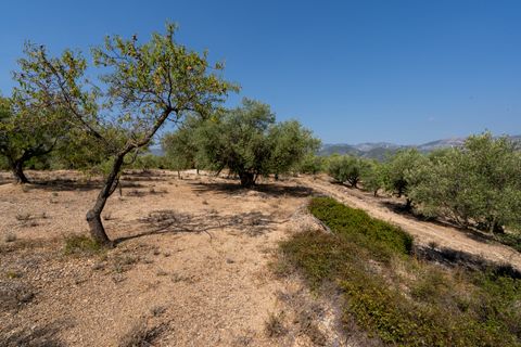 Finca a Aldover, Tarragona, Aldover - € 32.000 | Ref: 260 - foto 16