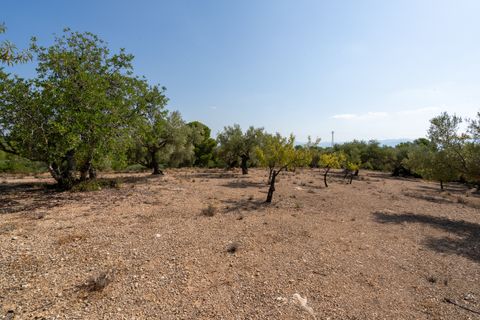 Finca a Aldover, Tarragona, Aldover - € 32.000 | Ref: 260 - foto 17