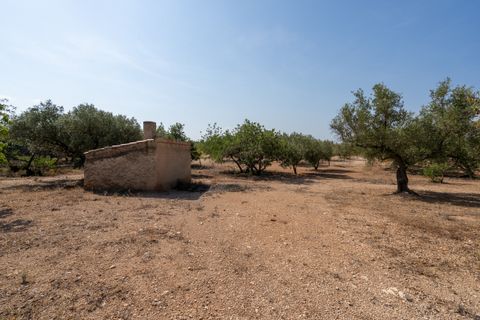 Finca a Aldover, Tarragona, Aldover - € 32.000 | Ref: 260 - foto 13
