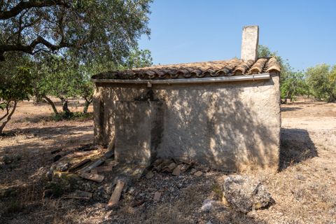 Finca a Aldover, Tarragona, Aldover - € 32.000 | Ref: 260 - foto 5