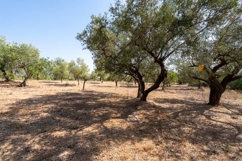 Finca a Aldover, Tarragona, Aldover - € 32.000 | Ref: 260 - foto 12