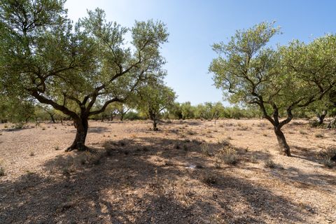 Finca a Aldover, Tarragona, Aldover - € 32.000 | Ref: 260 - foto 10