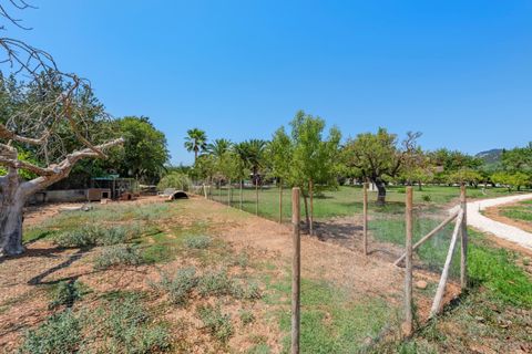 Finca i Binissalem, Mallorca, Binissalem - € 3.400.000 | Ref: 913 - foto 33