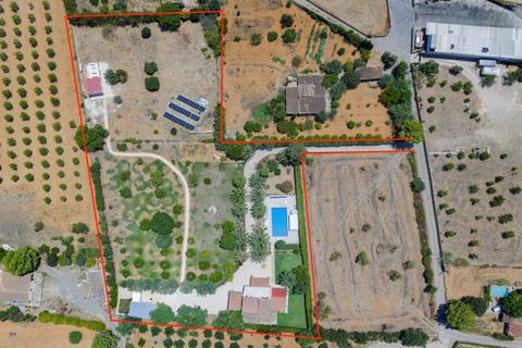 Finca i Binissalem, Mallorca, Binissalem - € 3.400.000 | Ref: 913 - foto 35