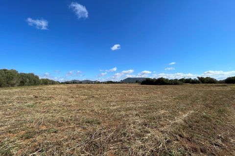 Helårsgrund i Llucmajor, Mallorca, Llucmajor - € 750.000 | Ref: 830LP - foto 1