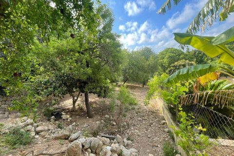 Landsbyhus i Campanet, Mallorca, Campanet - € 399.000 | Ref: 831 - foto 7