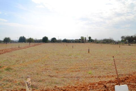Terra a Buger, Mallorca, Buger - € 330.000 | Ref: 827 - foto 6