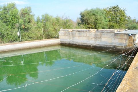 Terra a Buger, Mallorca, Buger - € 330.000 | Ref: 827 - foto 8