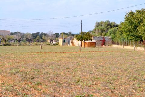 Terra a Buger, Mallorca, Buger - € 330.000 | Ref: 827 - foto 9