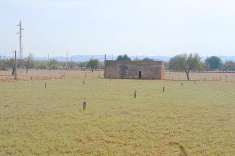 Terra a Buger, Mallorca, Buger - € 330.000 | Ref: 827 - foto 11