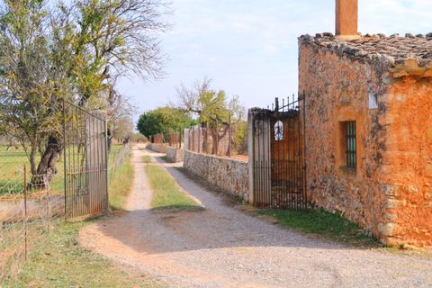 Terra a Buger, Mallorca, Buger - € 330.000 | Ref: 827 - foto 12