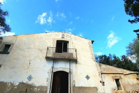 Finca i Binissalem, Mallorca, Binissalem - € 685.000 | Ref: 824 - foto 14