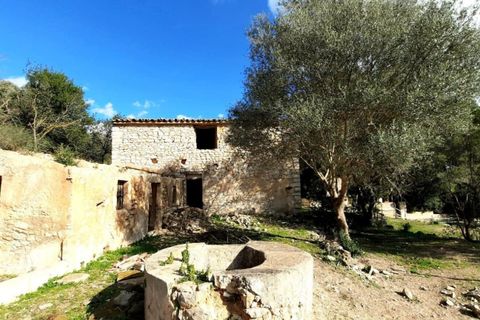 Finca i Binissalem, Mallorca, Binissalem - € 685.000 | Ref: 824 - foto 15