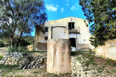 Finca i Binissalem, Mallorca, Binissalem - € 685.000 | Ref: 824 - foto 16