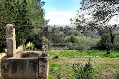 Finca i Binissalem, Mallorca, Binissalem - € 685.000 | Ref: 824 - foto 20