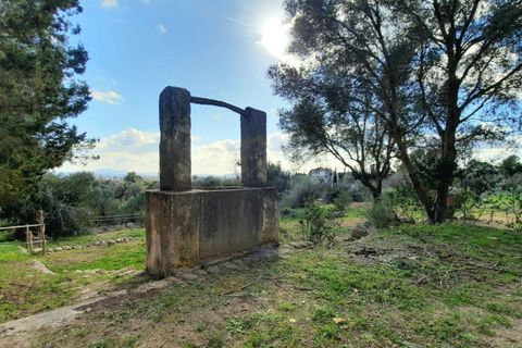 Finca i Binissalem, Mallorca, Binissalem - € 685.000 | Ref: 824 - foto 21