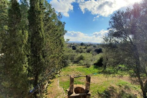 Finca i Binissalem, Mallorca, Binissalem - € 685.000 | Ref: 824 - foto 22