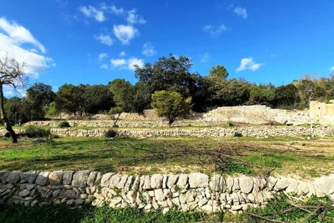 Finca i Binissalem, Mallorca, Binissalem - € 685.000 | Ref: 824 - foto 23