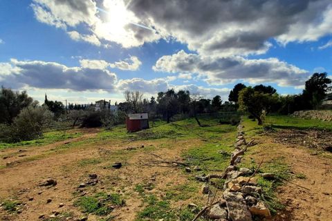Finca i Binissalem, Mallorca, Binissalem - € 685.000 | Ref: 824 - foto 24