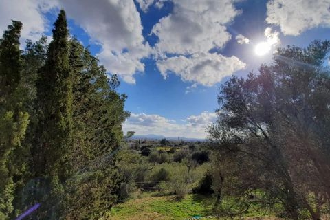 Finca i Binissalem, Mallorca, Binissalem - € 685.000 | Ref: 824 - foto 25
