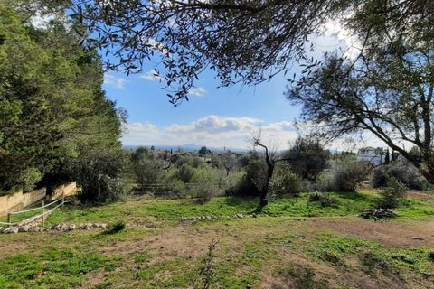 Finca i Binissalem, Mallorca, Binissalem - € 685.000 | Ref: 824 - foto 26