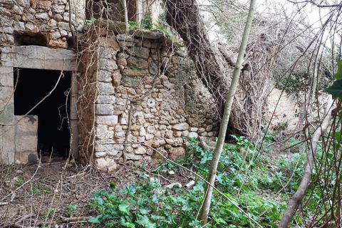 Landsbyhus i Binissalem, Mallorca, Binissalem - € 1.500.000 | Ref: 710 - foto 16